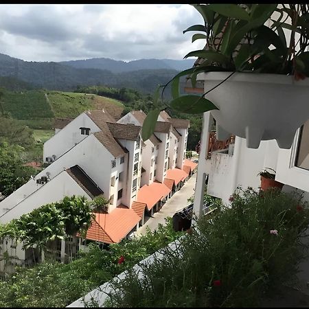 Bukit Tinggi Fuchsia Hillhomes Kültér fotó