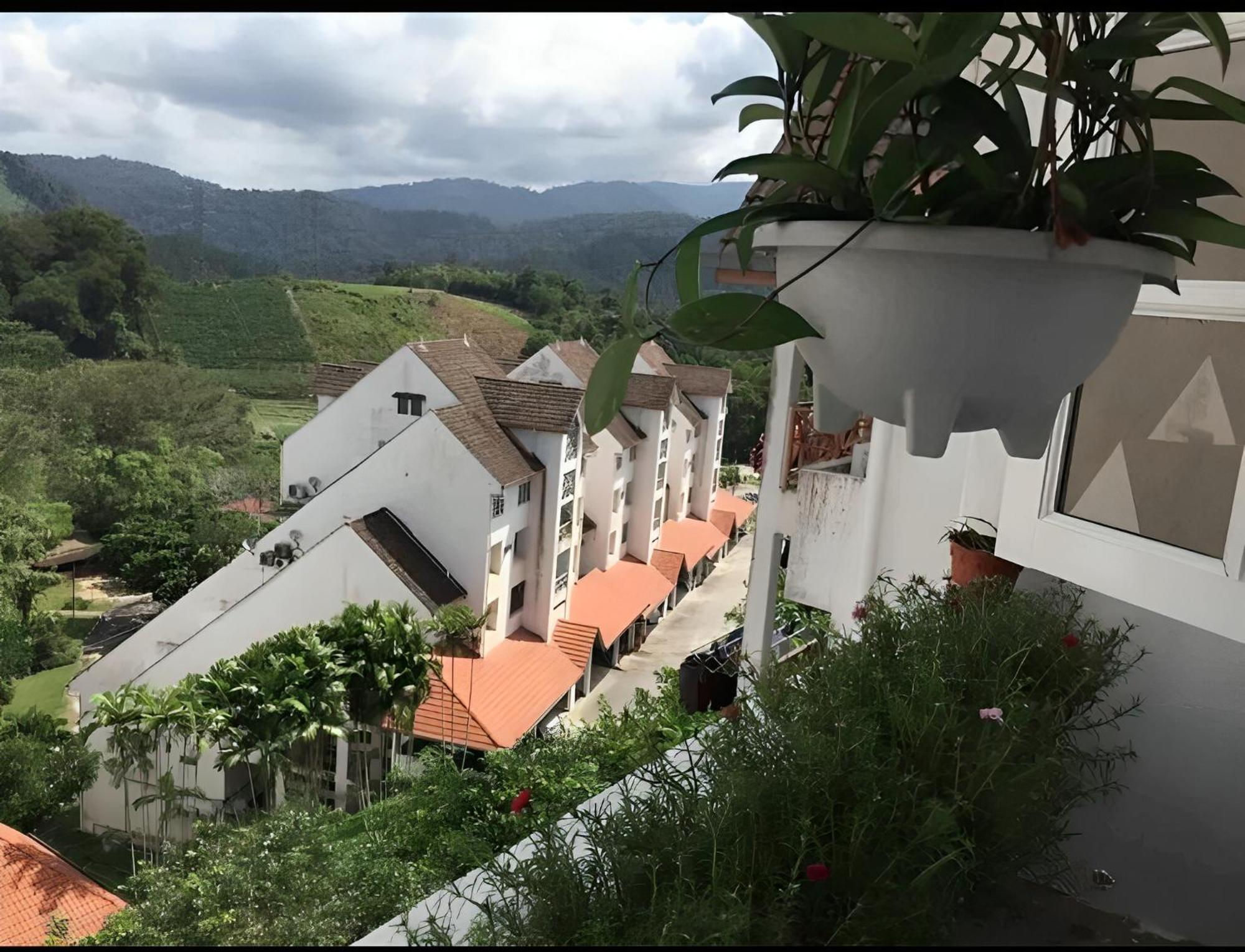 Bukit Tinggi Fuchsia Hillhomes Kültér fotó